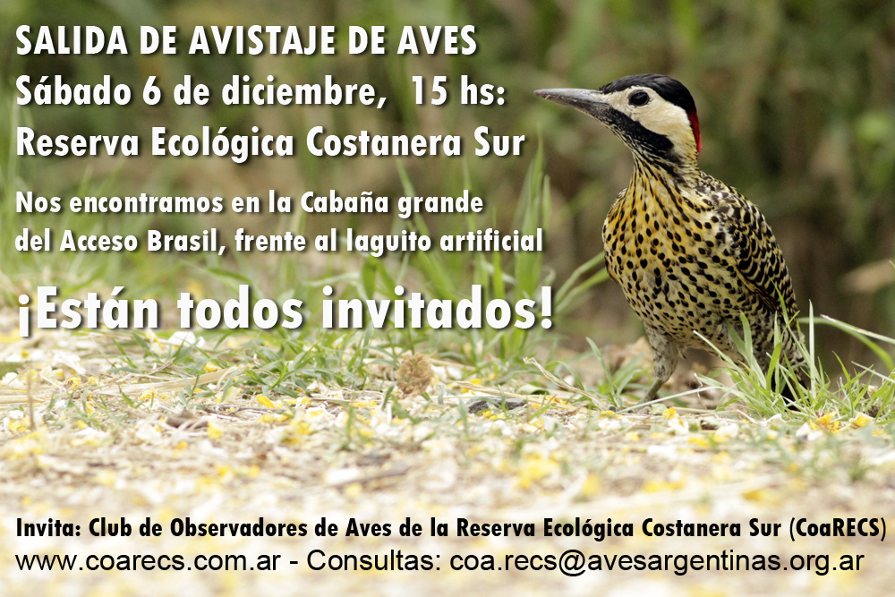 Salida del 6 de diciembre