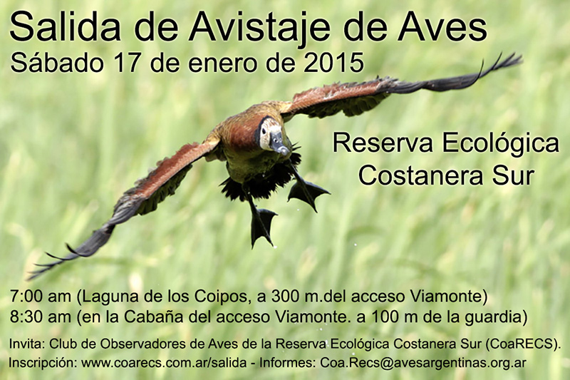 Salida del 17 de enero