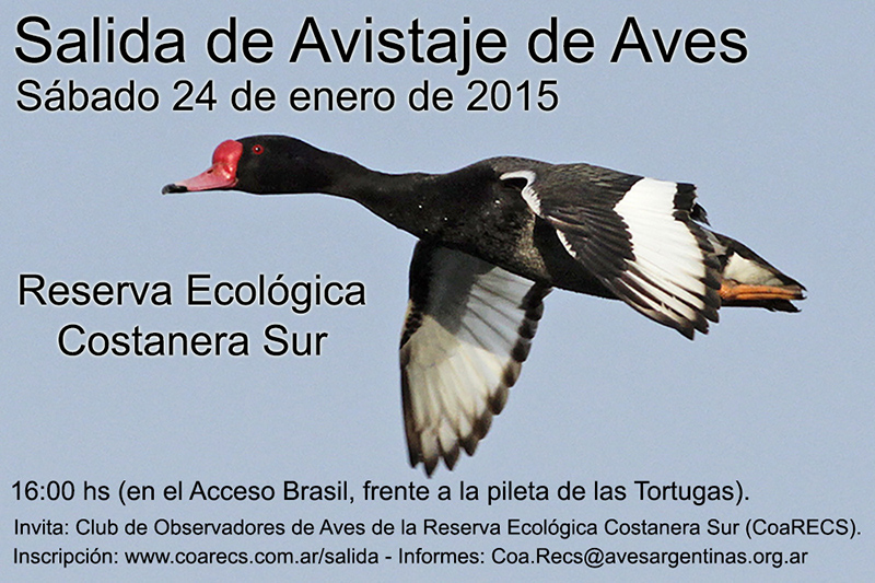 Salida del 24 de enero