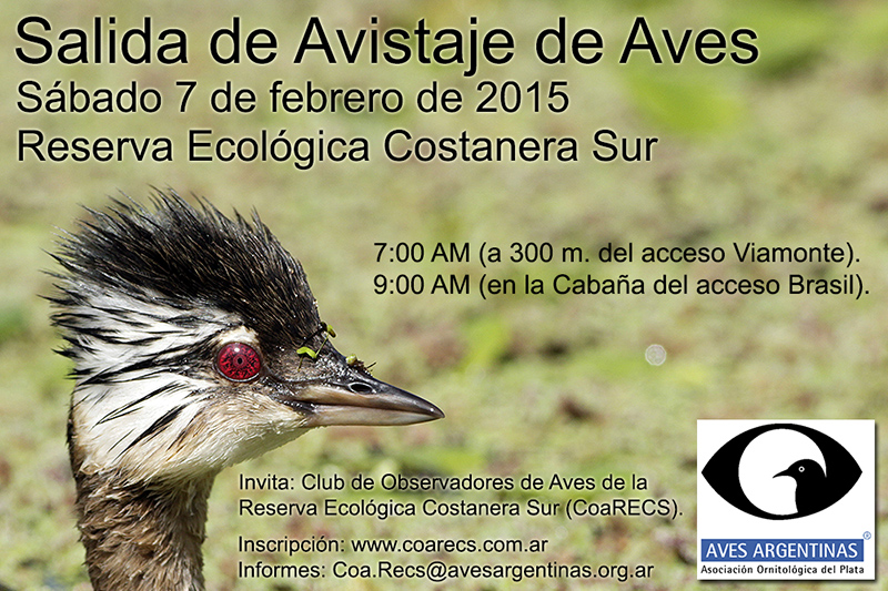 Salida del 7 de febrero