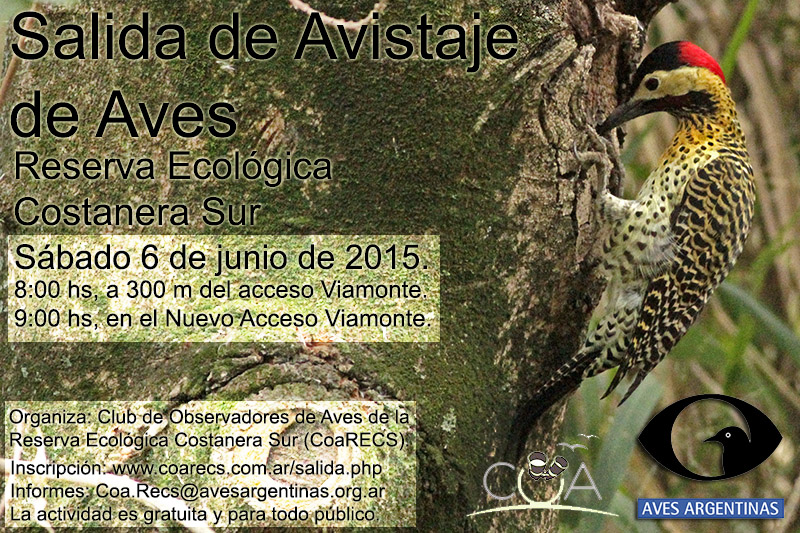 Salida del 6 de junio