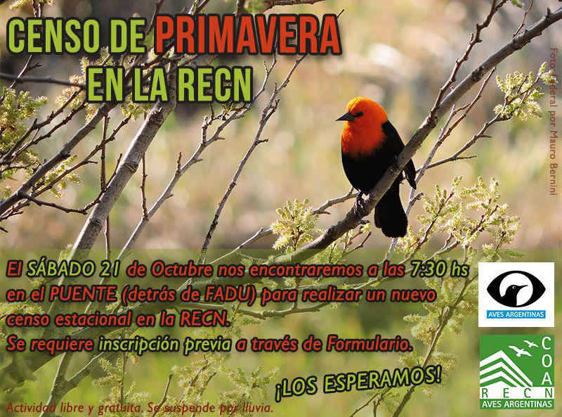 Censo del sábado 21 de octubre - RECN