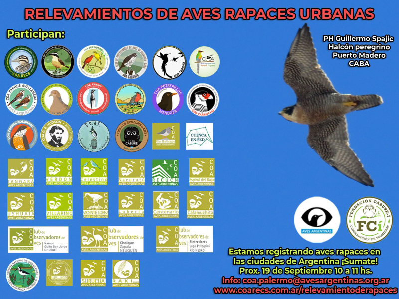 Relevamiento de aves rapaces del día 19 de septiembre de 2021