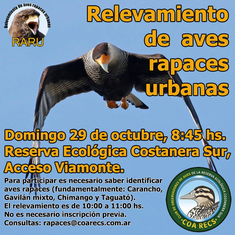 Relevamiento de Aves Rapaces Urbanas