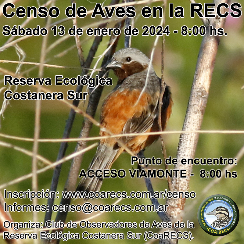 Censo del sábado 13 de enero de 2024