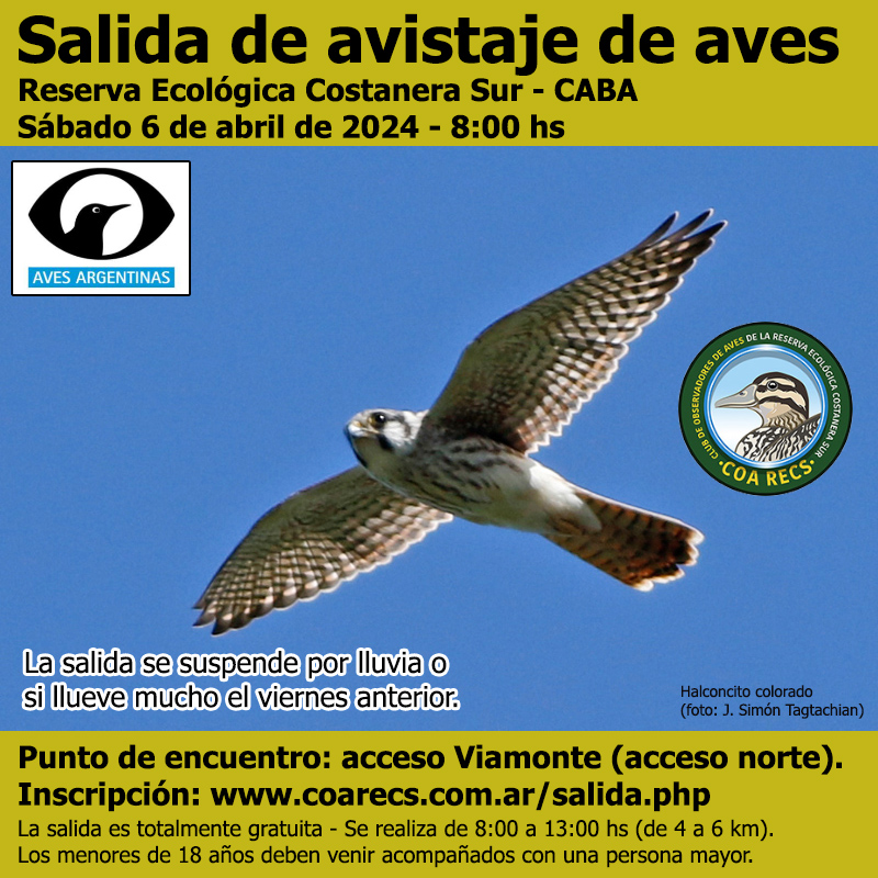 Salida 6 de abril de 2024