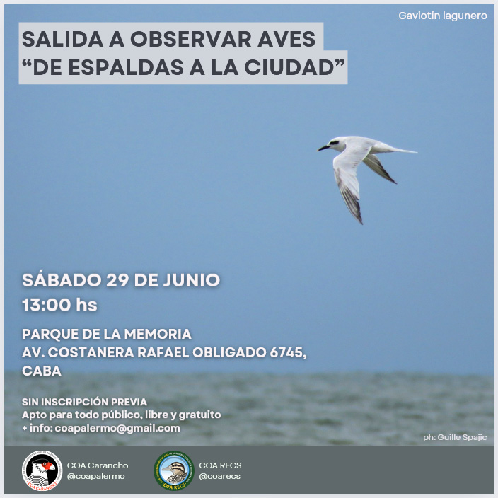 Salida de avistaje mirando el Río de la Plata