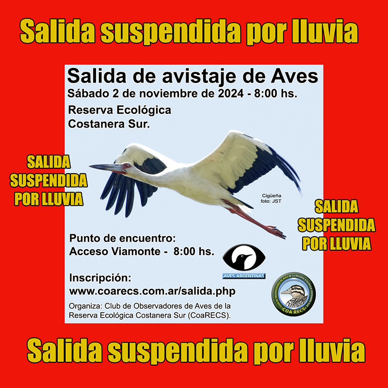 Salida 2 de noviembre de 2024