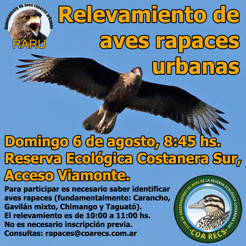 Relevamiento de rapaces 6 de agosto 2023